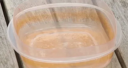Die Tupperdose sieht nach dem Waschen immernoch dreckig aus? So entfernst du Verfärbungen.