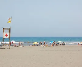 Strandgangers gewaarschuwd: giftige pieterman ook aan Nederlandse kust gespot