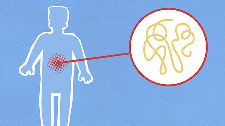 17 Common Things You Never Knew The Name Of