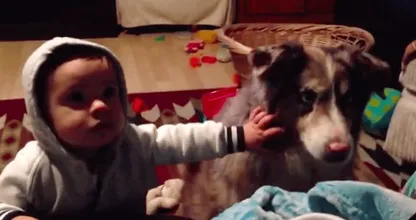 Deze moeder wilde heel graag dat haar kindje 'mama' zou zeggen en wat de hond toen deed..