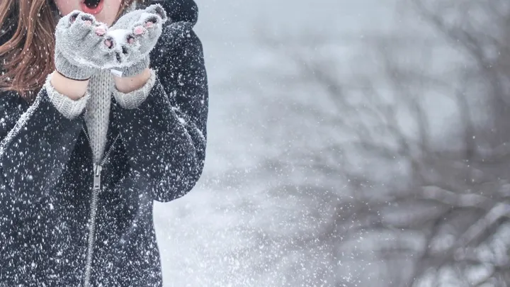 Do you get cold easily? These vegetables will make you feel warm again!