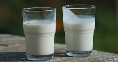 This is why you're better off eating full-fat dairy products instead of low-fat ones!