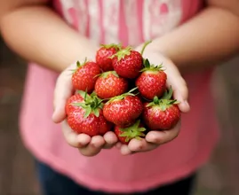 Aardbeien bewaren? Zo houd je ze het langst goed