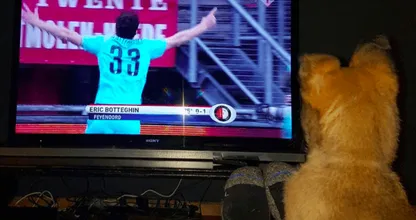 Politiepup Bumper blijkt een voetballiefhebber te zijn en wordt ingeënt, dit moet je echt even zien! Wij smelten!