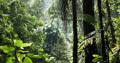 VN-akkoord over biodiversiteit