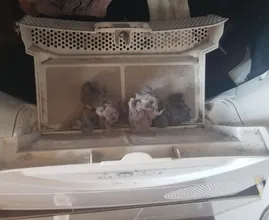 These 6 cleaning mistakes can actually be very unsafe