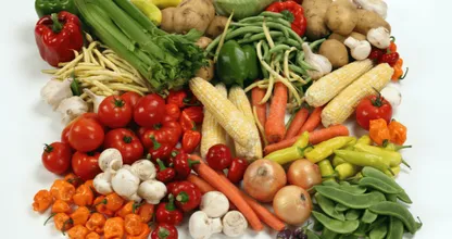 Verdadeiro ou falso: Você pode treinar para gostar de certos alimentos?
