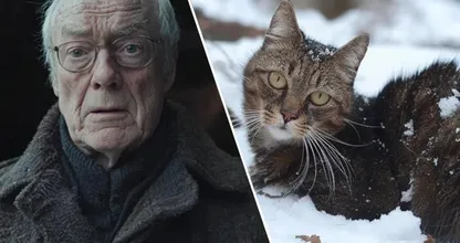 Cat Found Freezing in the Snow - But What It Was Hiding Under its Belly Will Leave You Stunned!