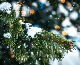 Dreaming of a white Christmas: dit is het weerbericht voor de feestdagen