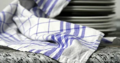 ¿Simplemente arrojas tus trapos de la cocina en la ropa normal? Entonces léelo