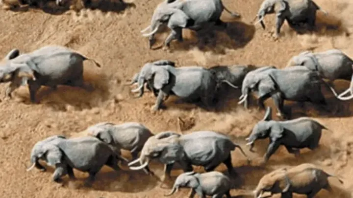30 Unheimliche Fotos aus dem wirklichen Leben, aufgenommen von Drohnen, die Sie vor Angst erschaudern lassen werden