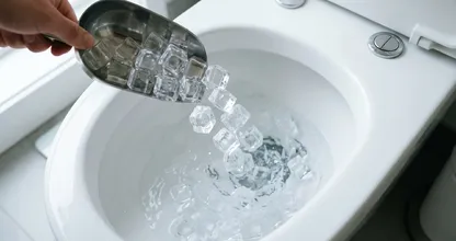 Warum füllt man die Toilettenschüssel mit Eiswürfeln? Lassen Sie es uns aufschlüsseln...