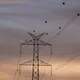 Oh, so this is what those balls on high voltage cables mean