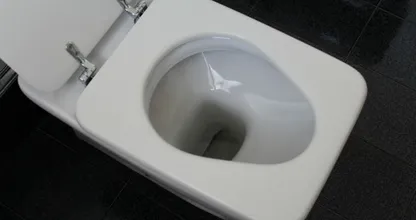 Das ist der Grund warum du den WC-Deckel immer runterklappen solltest bevor du spülst.