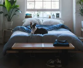 9 dingen die je nooit onder het bed moet bewaren