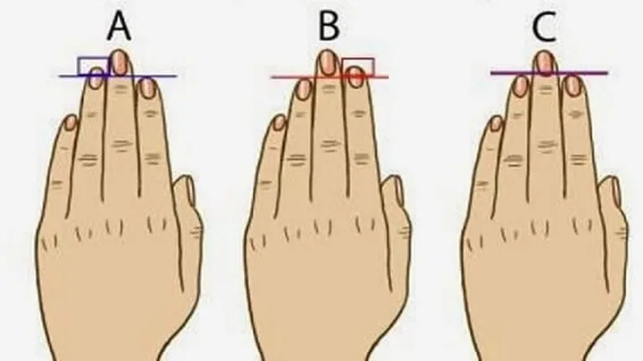 Your fingers can tell you a lot about your personality. What kind of fingers do you have?