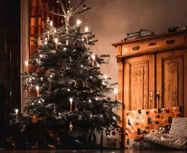 Op deze plek kun je je kerstboom het beste neerzetten