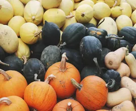 Por qué deberías comer calabaza todos los días