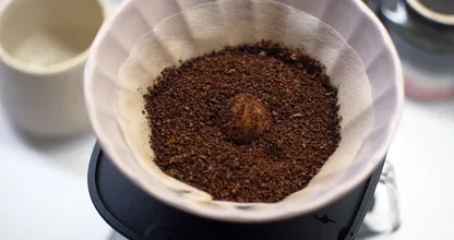 Coffee Filter Left Over? Then Use It For Your Flower Pot!
