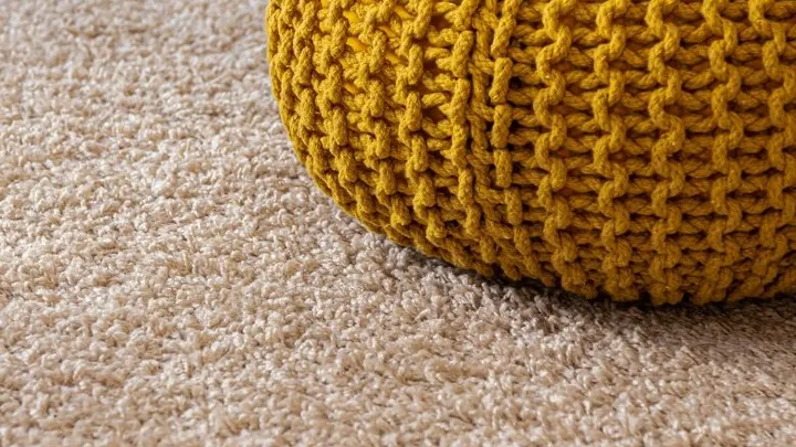 Here’s how to prevent and eliminate pests in your carpet or rug