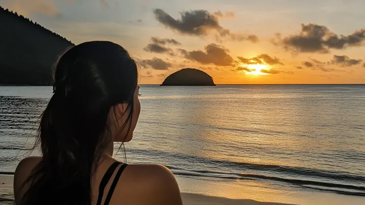 Frau folgt Wolf ins Meer, nachdem er sich ihr am Strand genähert hat - was sie fand, brach ihr das Herz
