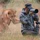 Un lion demande l'aide d'un photographe - L'incroyable vérité révélée