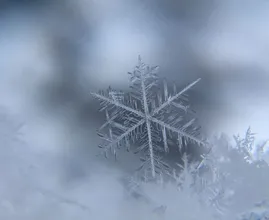 Durf te vragen: gaat het op sinterklaasavond sneeuwen?