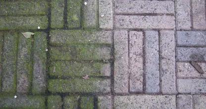 Removing green stains from patio tiles? With this trick, it is very simple! You really must try this!