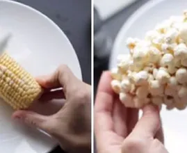 Kaum zu glauben, aber wahr: Popcorn am Maiskolben!