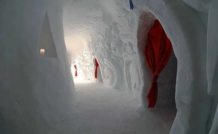 iglo2