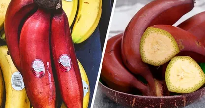 Sie haben vielleicht noch nie von diesen 20 ungewöhnlichen Früchten gehört