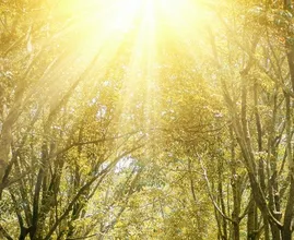 Warmterecord! Het is al sinds 1 april warmer dan 10 graden 