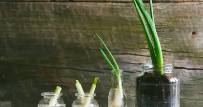 Unlock the Magic: 41 Kitchen Saving Hacks Everyone Must Know!