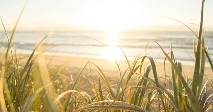Nazomeren: ook aankomend weekend weer zonnig en warm