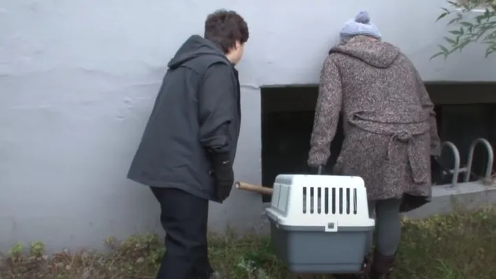 This homeless cat only accepts food from a bag and the reason is touching