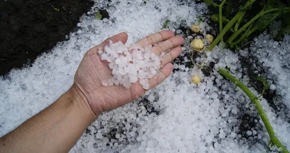 Vanavond code geel: van flinke windstoten tot 3 centimeter grote hagelstenen
