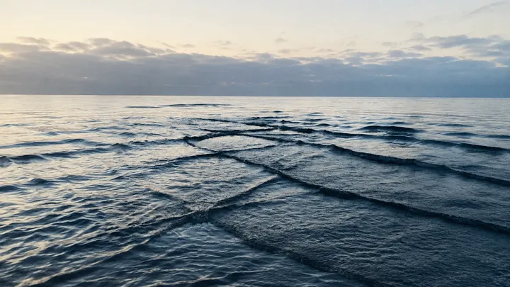 Si ves olas cuadradas en el mar, sal del agua inmediatamente