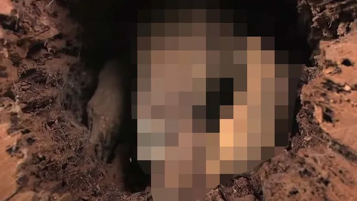 Holzfäller finden seltsame Kreatur in hohlem Baum