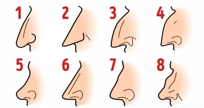 あなたの鼻はどんな形？タイプ別にあなたの性格が分かります！