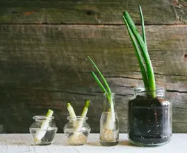 Unlock the Magic: 41 Kitchen Saving Hacks Everyone Must Know!