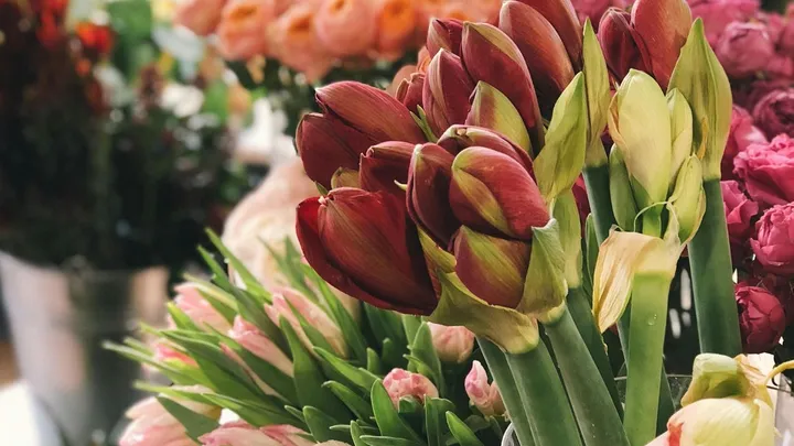 Tips om je bloemen langer vers te houden