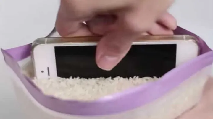 Metti una tazza di riso nel tuo guardaroba e questo è quello che succede!