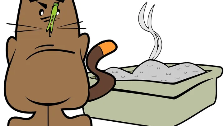 Mit diesem gigantischen Trick brauchst du nie wieder ein Katzenklo saubermachen! Sowas von praktisch!