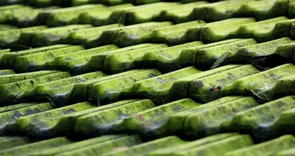 Met dit natuurlijke middel is de groene aanslag op je tegels zo verdwenen!