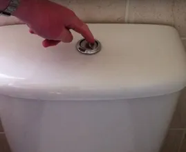 This is why you should flush the toilet as soon as you get home from your holiday!
