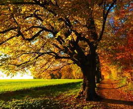 Nazomer in aantocht: eind deze week temperaturen tot 20 graden