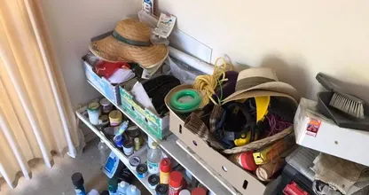 Suchbild: entdeckst du die Python auf diesem Foto?