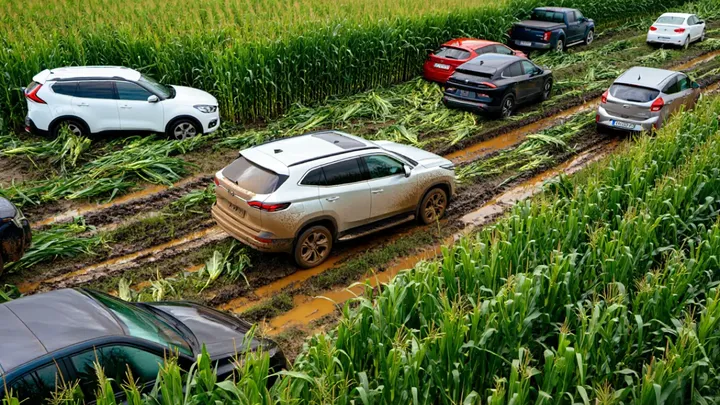 Un agricultor harto de aparcar ilegalmente en sus tierras: su venganza fue épica
