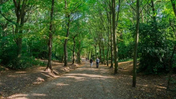Hombre encuentra un pitbull atado a un árbol y lee la carta que está al lado