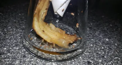 In 1 minuut gemaakt en je vangt er alle fruitvliegjes mee! Zo simpel en handig dit!